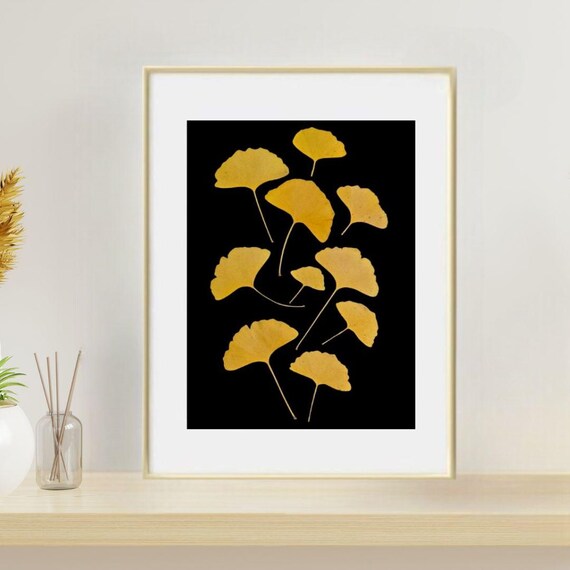 Gold-Yellow Ginkgo Leaves Of Fall/Pressed Real Leaves Art/Framed/Wall Decor Is A Great Way To Express Your Personal Style Within Your Home.