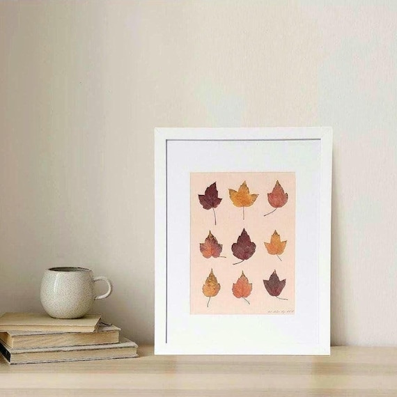 A White Frame Display Baby Maple Leaves With Various Shades Of Fall On Rose Or Yellow Background. Dried Pressed Real Leaves. Nature Indoors.