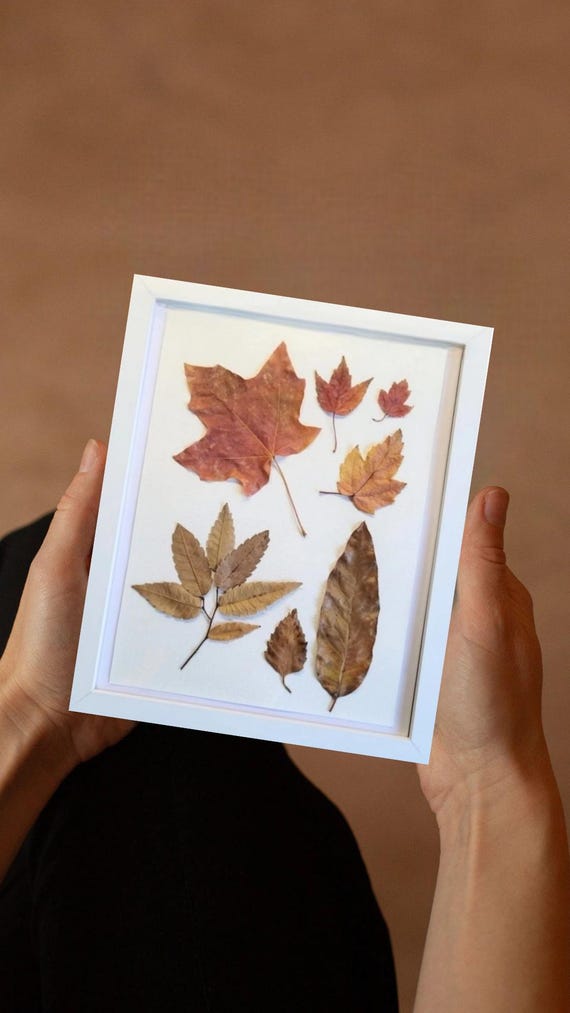 Ash Branch, Maple, Birch And Magnolia Leaves With Fall Shades. Pressed Real Leaves. Framed Botanical Art. Nature Indoors. Clean Modern Rusti