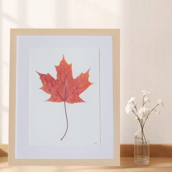 Framed Large Orage Maple. Dried Pressed Real Leaf Art. The Beauty Of Nature Can Be Brought Into Your Home In Many Ways! Botanical Decor.