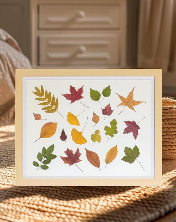 A Variety Of Small and Colorful Tree Leaves. Pressed Dried Real Leaves. Nature Inspired Decor For Home. Unique Gift For Nature Lovers.