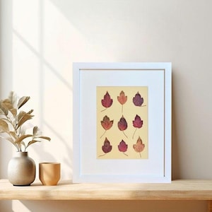 Framed Pressed Maple Leaf Art: Fall Botanical Decor
