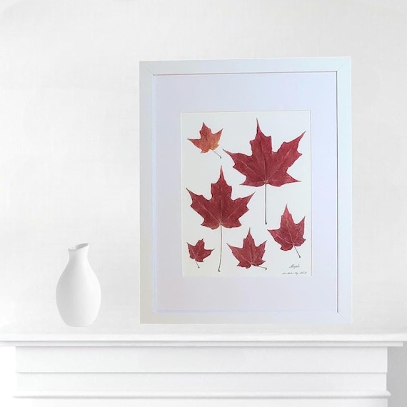 Framed Red Maples. Fall Color. Dried Pressed Real Leaves Art. Beautiful Botanical Decoration Choice For Home Or Some Other Place!