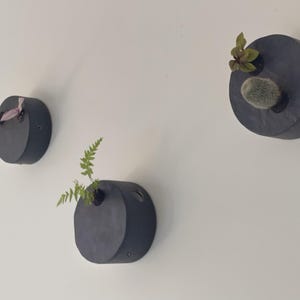 May include: Three circular, dark grey wall-mounted planters are arranged on a plain surface. Each planter features a small opening containing a different plant, including a green fern, a small cactus, and a plant with purple-tinted leaves.