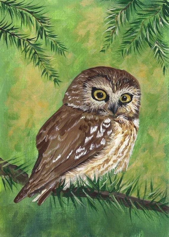 Cute Owl 8 x 10 reproduction PRINT