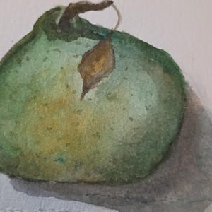 Pera grassa Dipinto originale ad acquerello su carta Arches ACEO