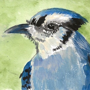 Blue Jay... Original Art Work Trading Card 3 1 ? 2" X 2 1/2"