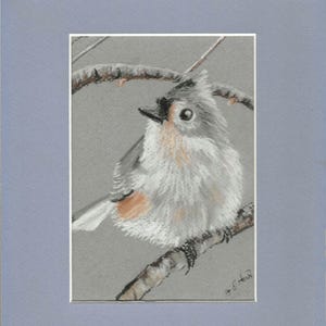 Tufted Titmouse bird painting original
