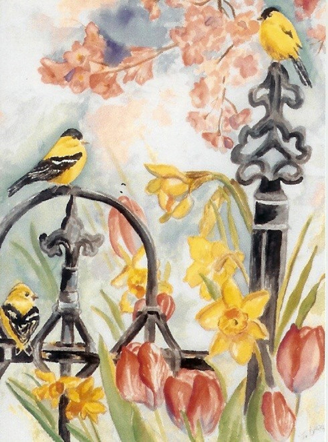 Aceo Bird Collection of Sixteen - Etsy