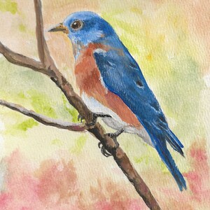 Eastern Bluebird original painting