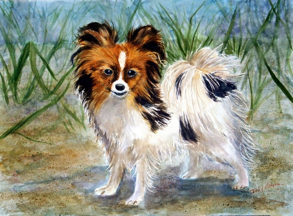 Aceo Butterfly Ears Papillion Pup Limited Edition - Main Image