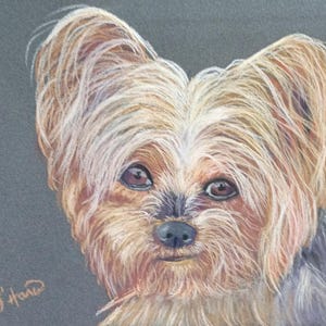 Carte de correspondance vierge Yorkie avec enveloppe