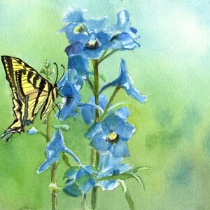 Stampa 8 x 10 di farfalla coda di rondine tigre e delfini blu