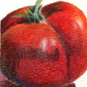 Aceo-tomaat in kleurpotloden