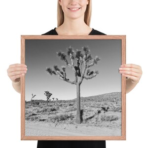 Joshua Tree Black & White Framed Print – Minimalist Desert Photography – California Landscape Wall Art – Nature Photo for Modern Decor