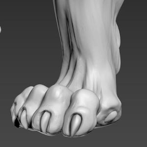以下が含まれることがあります： ニュートラルグレーのライオンの足の3Dモデル。画像には、足とつま先を含む足の複数のビューがあり、爪とテクスチャ加工された皮膚の詳細が強調されています。