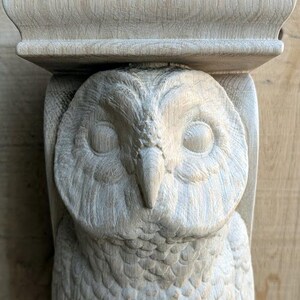 Op de afbeelding: Een gebeeldhouwde houten uil met een plank erboven. De uil is gedetailleerd met veren en heeft een realistisch uiterlijk.