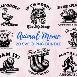 Bundle Animal Meme SVG PNG, Bundle Animal drôle, Svg meme raton laveur, Silly Goose Svg, Cricut, Opossum png, clipart tendance, svg drôle