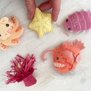 Può includere: Cinque giocattoli di feltro a forma di creature marine: un pesce anglerfish arancione e rosa, un isopode rosa, una stella marina gialla, un'anemone rosa e arancione e un polpo color pesca.