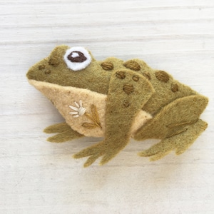 Pu&ograve; includere: Una rana di feltro verde con macchie marroni ricamate e un fiore bianco ricamato sulla schiena.