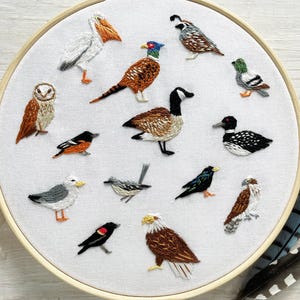 May include: A detailed embroidered artwork showcasing a variety of birds, such as a pelican, owl, and pheasant, on white fabric within a wooden hoop. The colourful thread work depicts each bird with precision. Feathers are placed near the hoop.