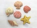 Felt Seashells PDF pattern download, beach decor, Plush Sewing Pattern for sea shell Ornaments, Garlands and more 