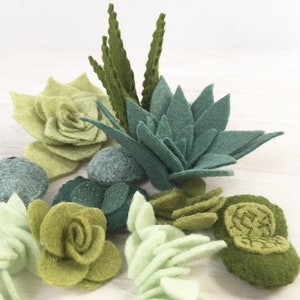 Felt Succulents Cactus Sewing Pattern PDF Download, Felt Plants ...