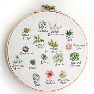 Tiny Succulents Hand Embroidery Pattern PDF Download, Embroidery Hoop Art, Desert, Cactus Decor, for the Plant Lady image 8