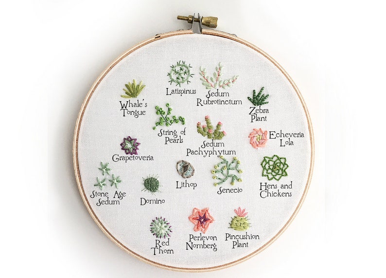 Tiny Succulents Hand Embroidery Pattern PDF Download, Embroidery Hoop Art, Desert, Cactus Decor, for the Plant Lady image 8