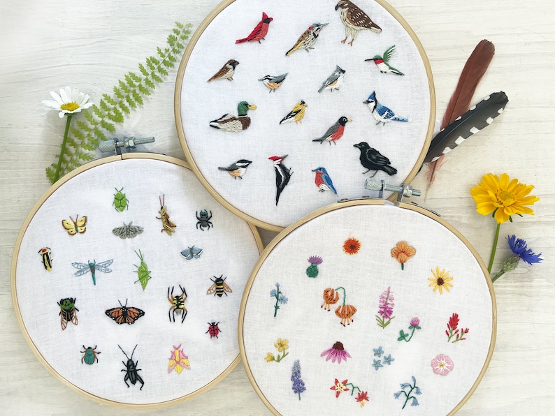 Op de afbeelding: Drie borduurringen met verschillende natuurthema's. De eerste ring heeft een verscheidenheid aan insecten, waaronder vlinders, libellen en kevers. De tweede ring heeft een verscheidenheid aan vogels, waaronder kardinaals, blauwe gaaien en kolibries. De derde ring heeft een verscheidenheid aan bloemen, waaronder klaprozen, madeliefjes en wilde bloemen.