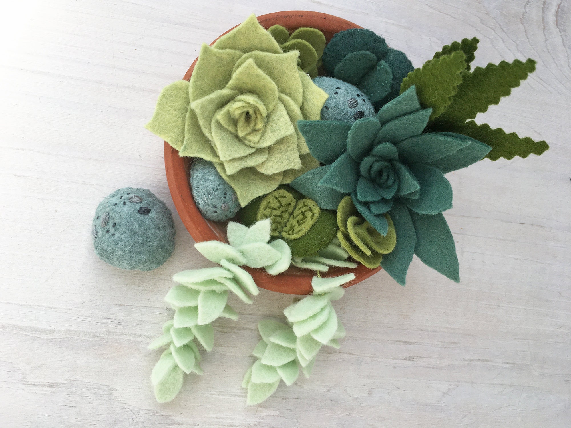 Felt Succulents Cactus Sewing Pattern PDF Download Felt Etsy