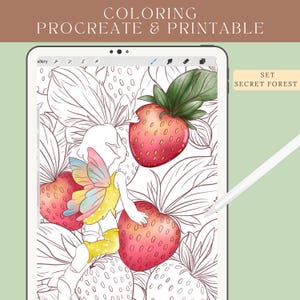 Può includere: Un'illustrazione in bianco e nero di una fata con le ali seduta su una fragola. La fata è circondata da fragole e foglie. L'immagine è etichettata "SET SECRET FOREST".