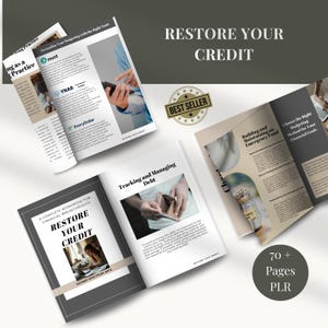 Libro de trabajo de reparación de crédito Reparación de crédito Manifieste riqueza Salga de deudas Coaching de MRR Cartas de reparación de crédito Canva PLR Presupuesto Puntaje de crédito