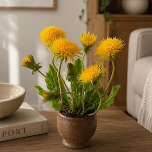 Miniature Dandelion Arrangement in Ceramic Pot | Handmade Polymer Clay Flowers | Botanical Home Decor | Cottagecore Home Decor | Nature Gift