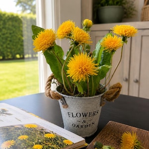 Puede incluir: Un cubo de metal galvanizado con asas de cuerda que contiene flores de diente de león de color amarillo brillante y hojas verdes. El cubo presenta el texto impreso en negro FLOWERS & GARDEN. El arreglo descansa sobre una superficie oscura.