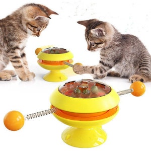 Cat Catnip Interactive Training Rotatable Toys