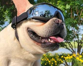 Pet Windproof Sunglasses Accessories