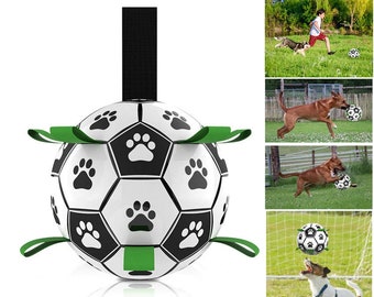 Jouets de football interactifs pour dressage d'animaux de compagnie