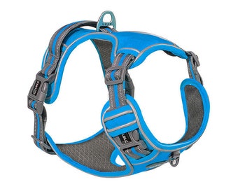 Pets out chest strap