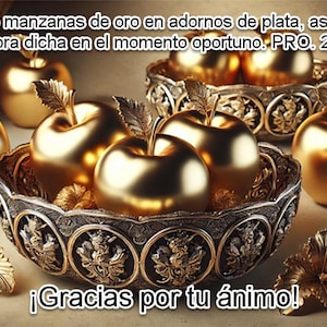 JW Tarjeta Gracias--Spanish JW Thank You Card for Elders and Circuit Overseers (T7 SP)- Large Photo-quality card inspired by Pro. 25:11