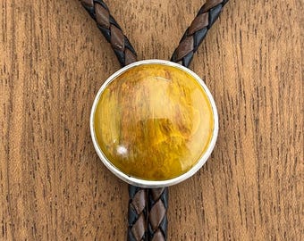 Arizona Rainbow Petrified Wood Bolo Tie For Men, Wedding Bolo, Western Gifts For Men, , Western Jewelry Men, Anniversary Gift For Husband
