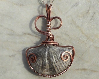 Brachiopod Wire Wrapped Fossil Pendant, Fossil Necklace, Shell Pendant, Fossil Wire Wrap, Science Jewelry