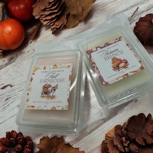 Halloween Wax Melts | Home Fragrance | Soy Wax Melt | Autumn Season | Fall Wax Melts | Sweet Wax Melt | Pumpkin Wax Melts | Fall Home Decor