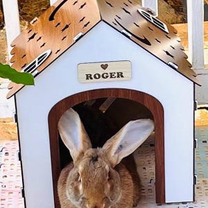 Casa para conejos gemela hecha a mano: moderna cama para conejos de contrachapado de abedul, moderna casa para conejos, castillo para conejos extragrande, casa de juegos interior y cama para mascotas pequeñas.