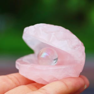 2&#39;&#39;Natural carved Rose quartz shell, Crystal shell, Quartz crystal,Home decor,Crystal collect,Crystal gift,Crystal healing