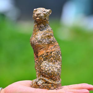 5,6&#39;&#39; Pedra de quartzo natural desconhecida Leopardo, Leopardo de cristal esculpido, Decoração para casa, Decoração de cristal, Presente de cristal, Cura de cristal
