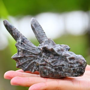 5&#39;&#39; Natural Yooperlite Dragon Head,Crystal Dragon carved,Quartz crystal,Home decor,crystal decor,Halloween gift,Crystal healing