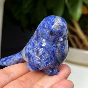 2.4&#39;&#39; Natural Carved Sodalite Bird,Quartz crystal Bird,Home decor,crystal decoration,Crystal gift,Reiki healing