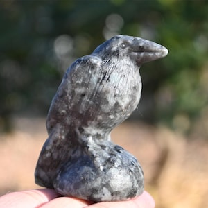 2.6&#39;&#39; Natural Yooperlite crow,Quartz crystal crow carved,Home decor,crystal decor,Halloween gift,Crystal healing