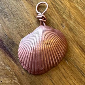 Pode incluir: Pingente de concha cor de cobre com uma argola de arame. O pingente tem uma textura canelada e um acabamento metálico, criando um efeito brilhante. A concha tem uma forma natural.